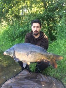 Mirror Carp