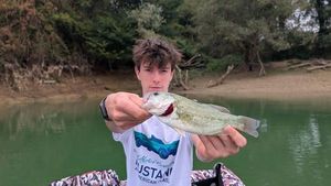 Largemouth Bass