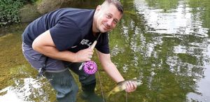 Brown Trout