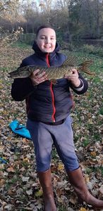 Northern Pike