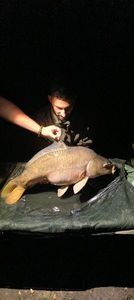 Leather Carp