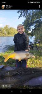 Mirror Carp