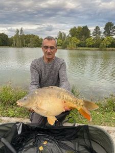 Mirror Carp