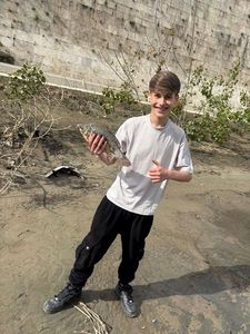 Crucian Carp