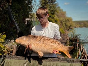 Common Carp