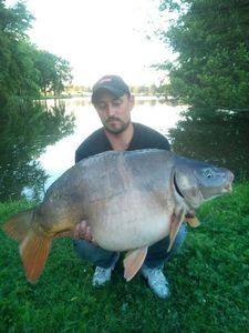 Mirror Carp