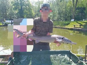 Sturgeon