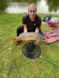 Common Carp