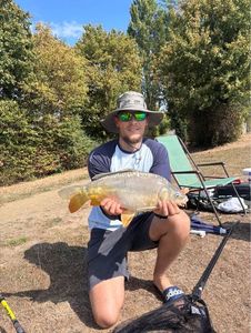 Mirror Carp