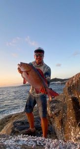Two-spot Red Snapper