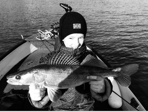 Zander