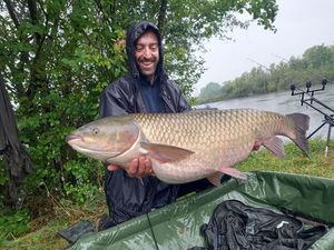 Grass Carp