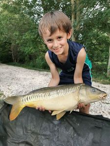 Mirror Carp