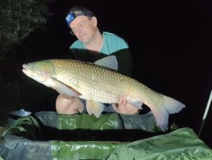 Grass Carp