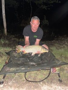Common Carp