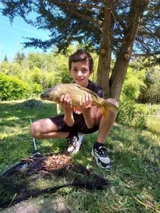 Mirror Carp