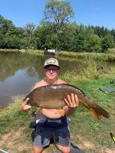 Mirror Carp