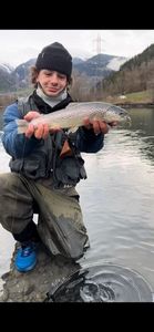 Brown Trout