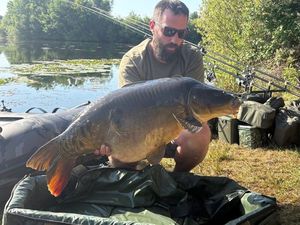 Leather Carp