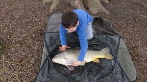 Common Carp