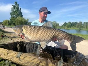 Grass Carp