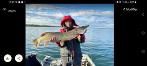 Northern Pike