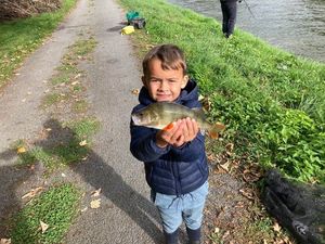 European Perch
