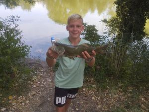 Largemouth Bass