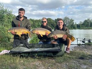Mirror Carp