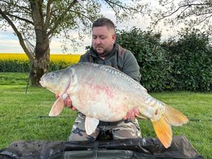 Mirror Carp