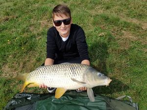Common Carp