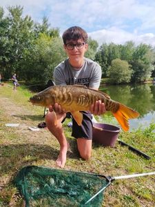 Mirror Carp