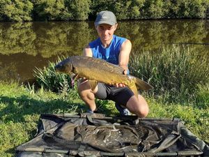 Mirror Carp