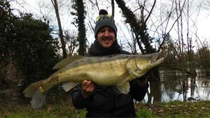 Zander