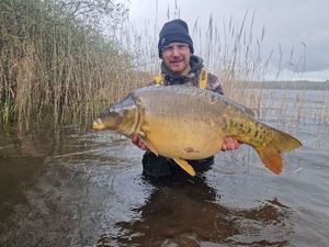 Mirror Carp