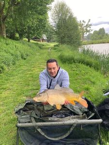 Mirror Carp