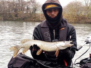 Northern Pike