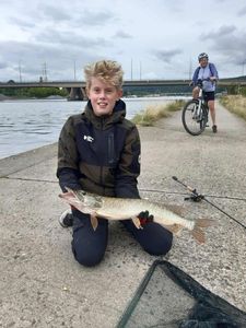 Northern Pike