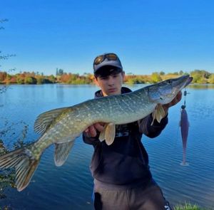 Northern Pike