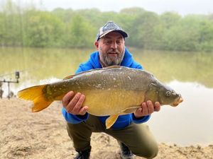 Mirror Carp