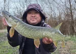 Northern Pike
