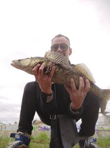 Zander