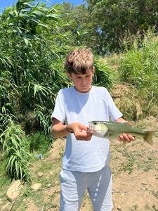 Smallmouth Bass