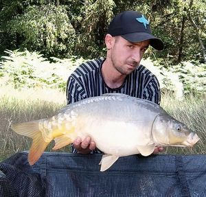 Mirror Carp