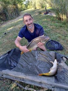 Mirror Carp