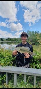 Largemouth Bass