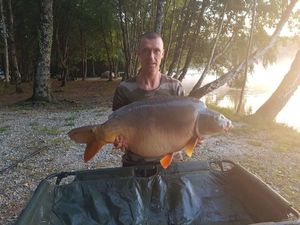 Mirror Carp