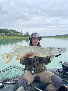 Northern Pike