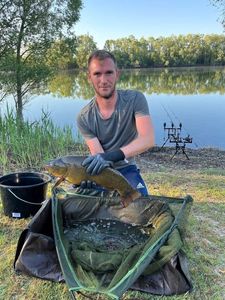 Tench