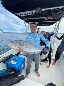 Buri (Japanese Amberjack)